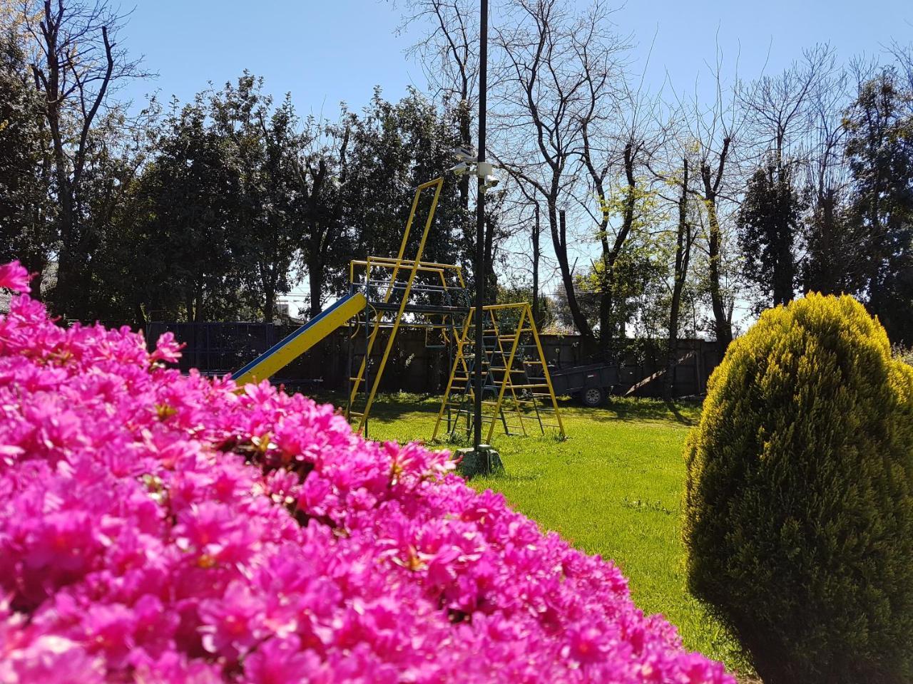 Villa Cabanas Risso Villarrica Exterior foto